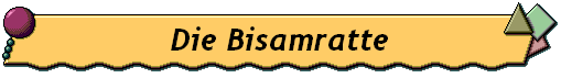 Die Bisamratte
